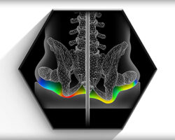 Surface Tension Reduction Axiom AS - ASP Ki Mobility Cushion